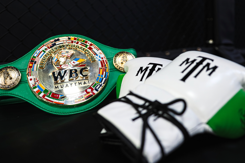 "SUPREMACY" SERIES BOXING GLOVES (LACE UP)
