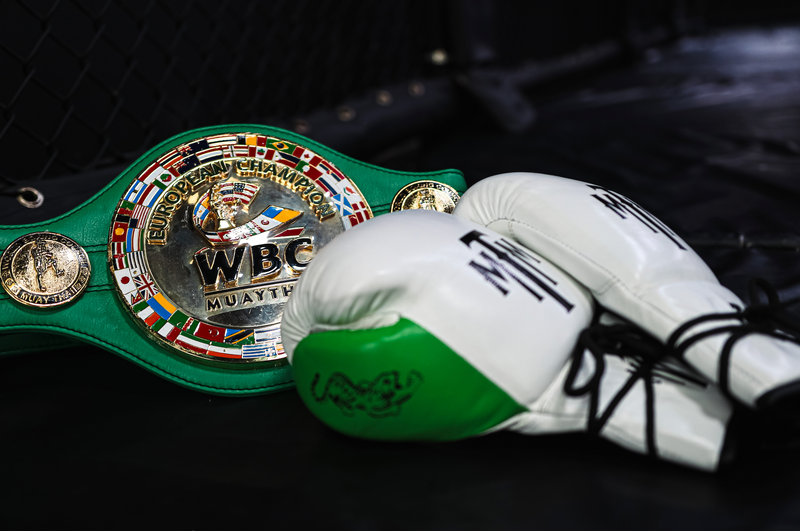 "SUPREMACY" SERIES BOXING GLOVES (LACE UP)