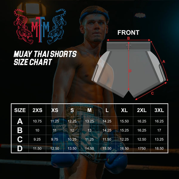 Fighter View